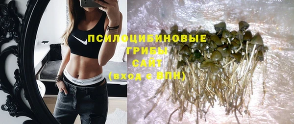 прущий лед Верея