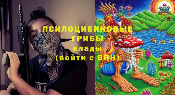 гидра Богданович