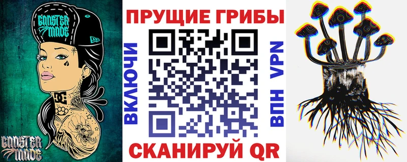 Псилоцибиновые грибы MAGIC MUSHROOMS  где найти наркотики  блэк спрут   Прокопьевск 